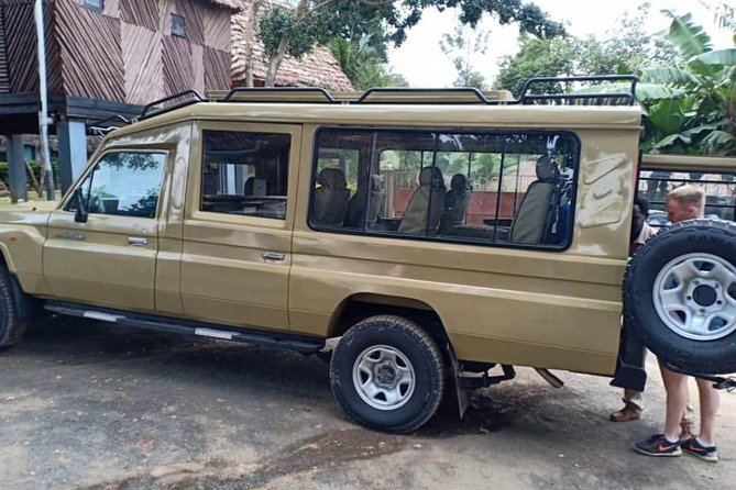 Private Day Trip to Ngorongoro Crater - Descent into the 600-meter caldera: what you’re actually going for