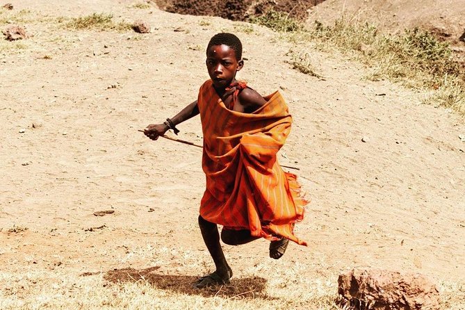 Private Day Trip to Ngorongoro Crater - Price and logistics: what $644 per person really covers