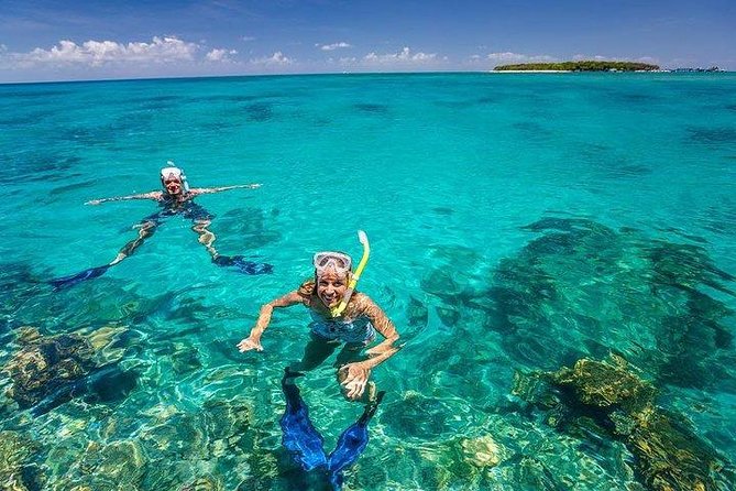 Private Dolphin Tour and Snorkeling at Mnemba Island reef - Mnemba Island Reef snorkeling: clear water, lots of fish