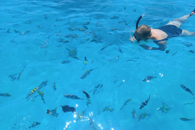 Private Dolphin Tour and Snorkeling at Mnemba Island reef - Timing, pickup, and how to avoid frustration