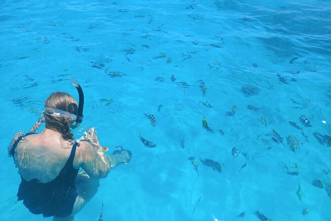 Private Dolphin Tour and Snorkeling at Mnemba Island reef - What to bring (and what not to forget)