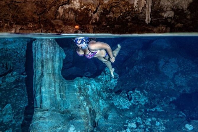 Private Full-Day: Dolphin & Monkey Jungle Adventure - Mnemba Island Starts With an Early Pickup
