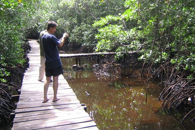 Private Full-Day: Dolphin & Monkey Jungle Adventure - Price and Value at $130 for a Private Day