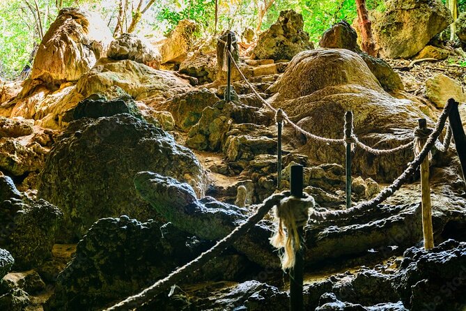 Private Full-Day: Dolphin & Monkey Jungle Adventure - Who This Private Adventure Is Best For