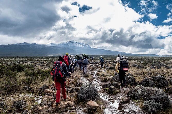 Private Full Day Hiking Experience to Marangu Route - Your Guide and Pacing: What to Expect, and What to Watch