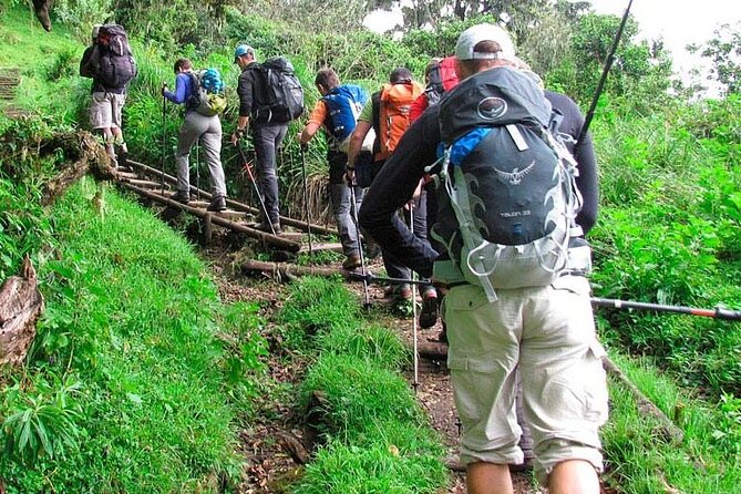 Private Full Day Hiking Experience to Marangu Route - Included Perks That Actually Reduce Stress