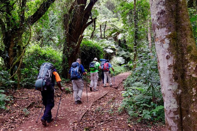 Private Full Day Hiking Experience to Marangu Route - Who This Day Hike Fits Best