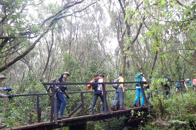 Private Full-Day Hiking Tour in Mount Kilimanjaro - Key Highlights You Should Know