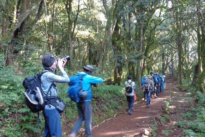 Private Full-Day Hiking Tour in Mount Kilimanjaro - A Kilimanjaro Day Trip That Actually Feels Like Kilimanjaro
