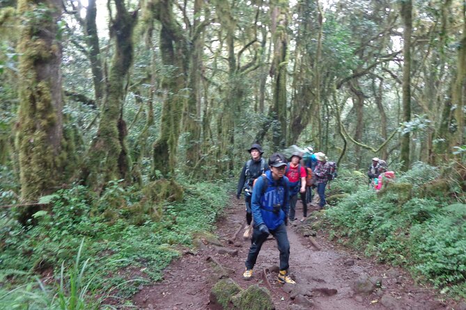 Private Full-Day Hiking Tour in Mount Kilimanjaro - What’s Included, What You Pay Extra For, and Why It Matters