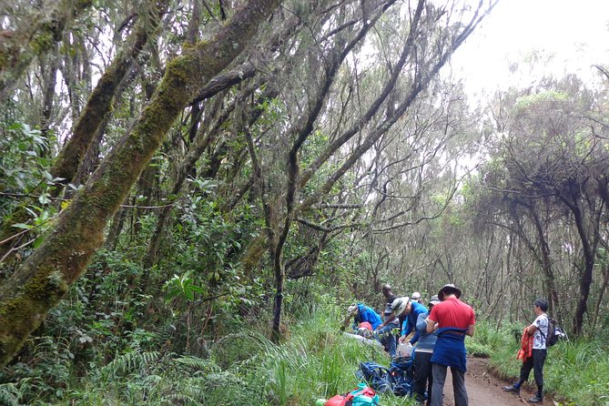 Private Full-Day Hiking Tour in Mount Kilimanjaro - Comfort and Packing Tips for a Rainy, Misty 9-Hour Day