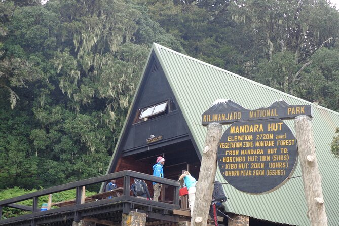 Private Full-Day Hiking Tour in Mount Kilimanjaro - From Rainforest to Mandara Hut: Birds, Mist, and Wildlife Chances