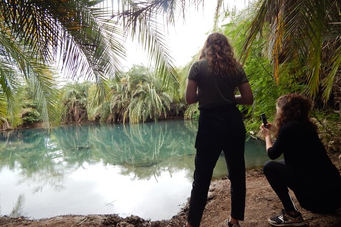 Private Full-Day Materuni Waterfall, Coffee and Hot-spring Tour in Moshi - Key points for your Moshi day