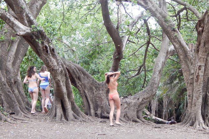 Private Full-Day Materuni Waterfall, Coffee and Hot-spring Tour in Moshi - Timing, transport, and the “smooth day” effect