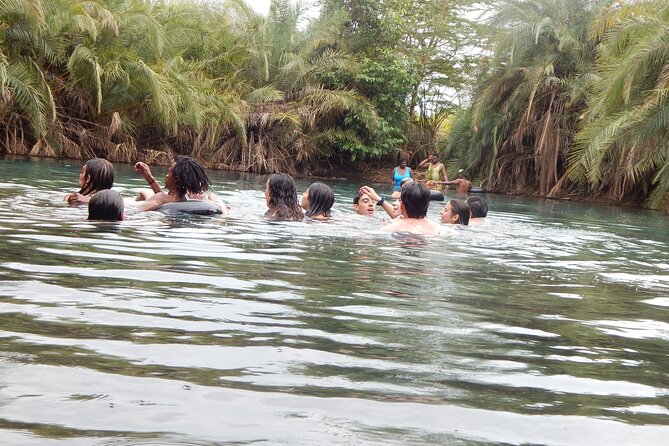Private Full-Day Materuni Waterfall, Coffee and Hot-spring Tour in Moshi - Who this tour suits best