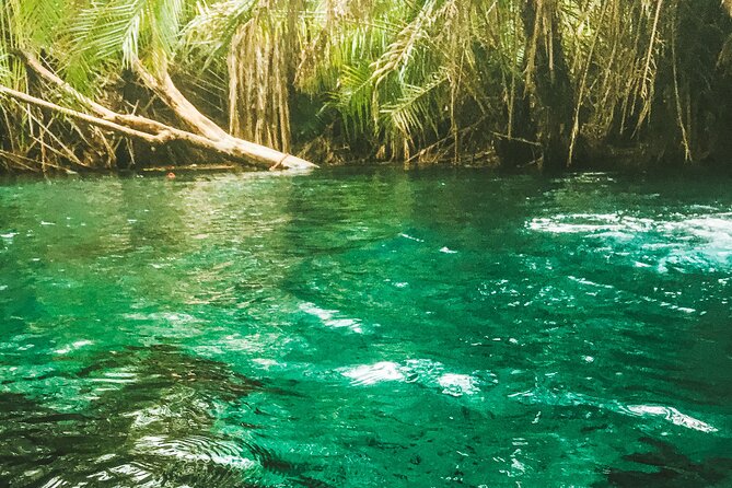 Private Full-Day Materuni Waterfalls and Kikuletwa Hotspring - Quick hits before you go