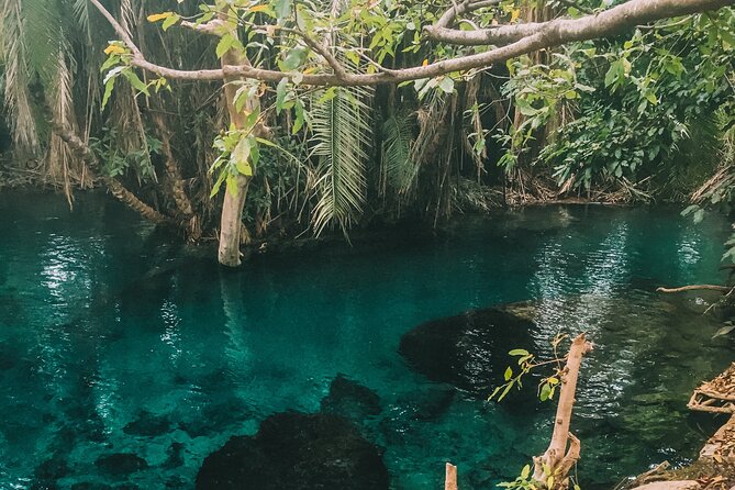 Private Full-Day Materuni Waterfalls and Kikuletwa Hotspring - Materuni, Coffee, and Kikuletwa, packed into one smooth day