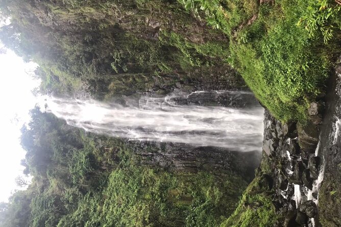 Private Full-Day Materuni Waterfalls and Kikuletwa Hotspring - Why private, and why $100 feels reasonable for this route