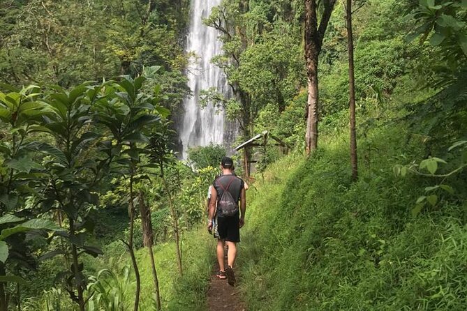 Private Full-Day Materuni Waterfalls and Kikuletwa Hotspring - The Materuni hike, what to expect on the ground