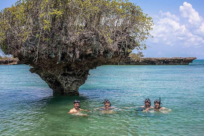 Private Full-day Safari Blue Trip with Lunch buffet - Key takeaways before you go