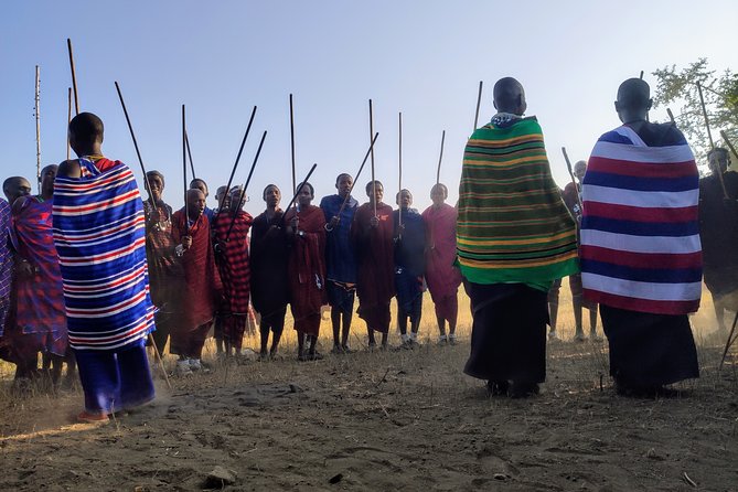 Private Full-Day Tour Maasai Village and Kikuletwa Hot Spring - Key Highlights You Should Know