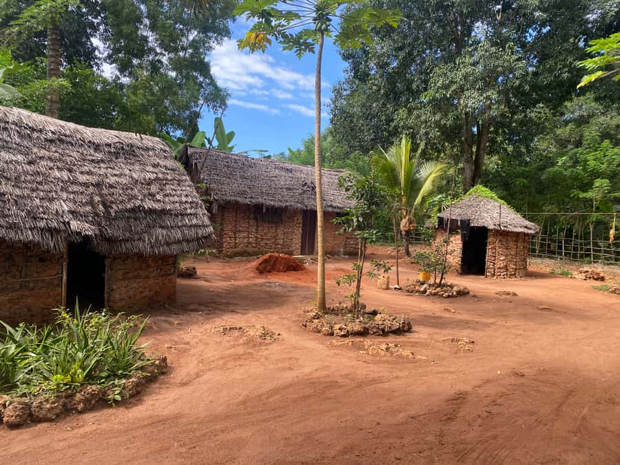 Private Full Day Trip Exploring Zanzibar Nature - Jozani Forest National Park: Monkeys, Forest Walking, and a Dance Show
