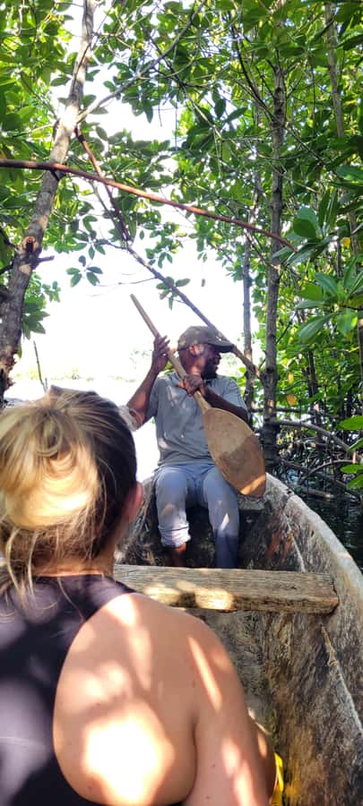 Private Full Day Trip Exploring Zanzibar Nature - Who This Tour Is Best For (And Who Should Skip It)