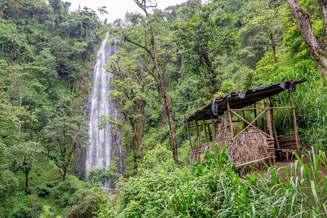 Private Full-Day Trip to Materuni Waterfalls - Guides like Alfa and Samson: safety, pacing, and useful stories