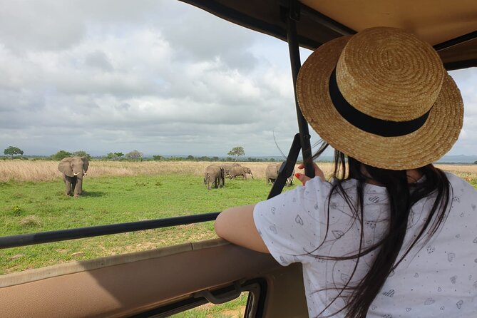 Private Full-Day Trip to Mikumi National Park from Dar es Salaam - Key things that make this Mikumi day trip work
