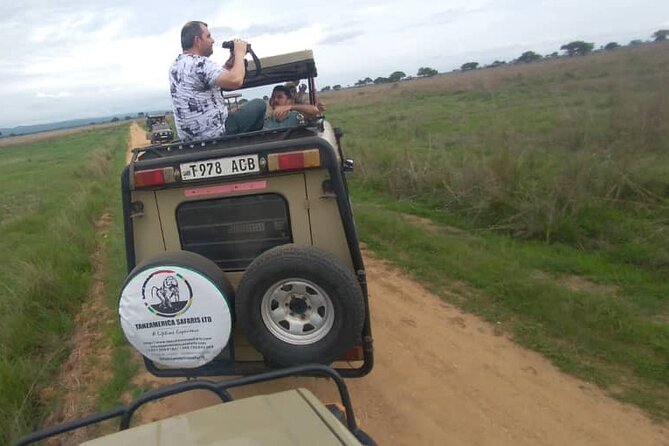 Private Full-Day Trip to Mikumi National Park from Dar es Salaam - Morogoro lunch stop: a smart break before the safari