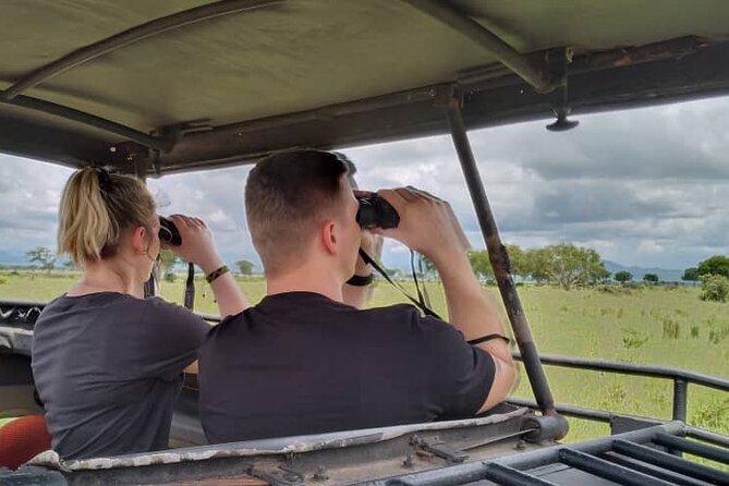 Private Full-Day Trip to Mikumi National Park from Dar es Salaam - Private safari format: fewer delays, better attention