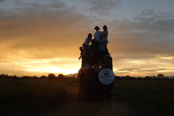 Private Full-Day Trip to Mikumi National Park from Dar es Salaam - What’s included in the price, and why it can be good value