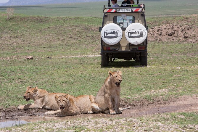 Private Group Serengeti Safari, Crater & Tarangire National Park - What you’re really buying with a $2,020 private safari