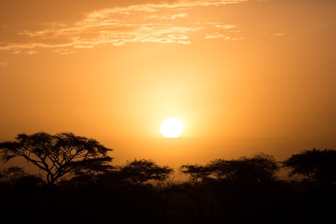 Private Group Serengeti Safari, Crater & Tarangire National Park - Serengeti Morning Drive: Why the Plains Feel Endless