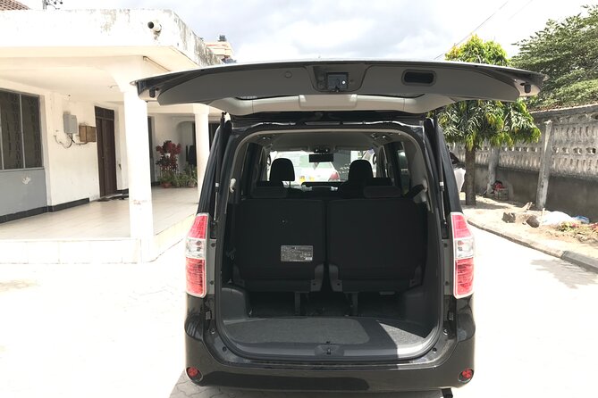 Private Kilimanjaro Airport Transfer to or from Tanzania - Best Fit: Who Should Book This Transfer