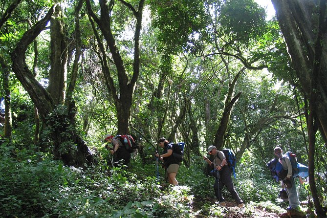 Private Kilimanjaro Climb - Any Route - 8 to 15+ Days - The climb rhythm for 8 to 16 days: what to expect in real life
