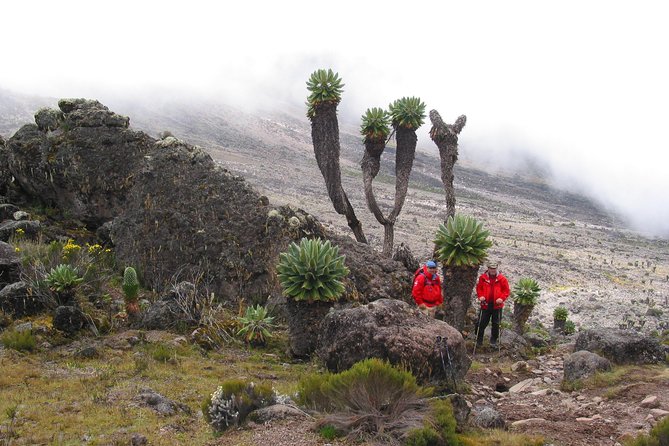 Private Kilimanjaro Climb - Any Route - 8 to 15+ Days - Price and value: is $5,800 per person worth it?