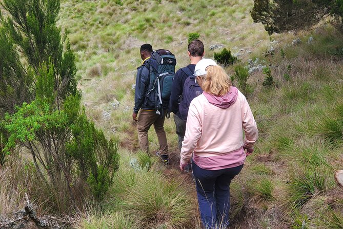 Private Kilimanjaro Day Hike to Marangu Route's Mandara Hut - Head back to Marangu Gate: the long descent and the ride home