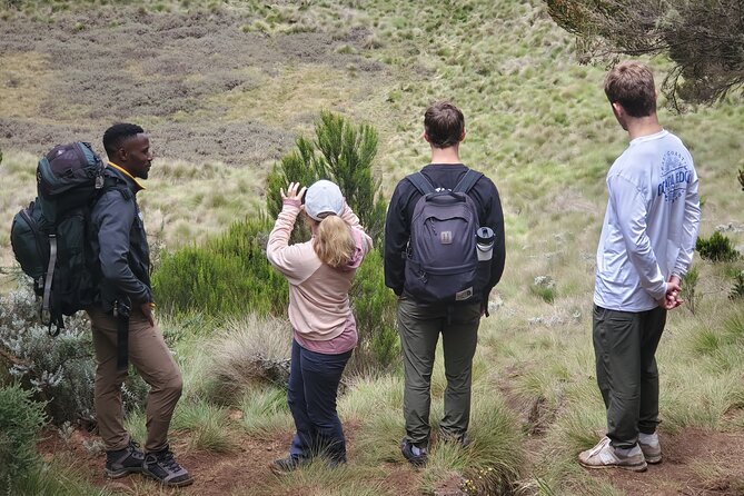 Private Kilimanjaro Day Hike to Marangu Route's Mandara Hut - What to bring for a comfortable day at altitude