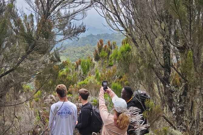 Private Kilimanjaro Day Hike to Marangu Route's Mandara Hut - The Marangu Route climb: steady forest hiking to Mandara Hut