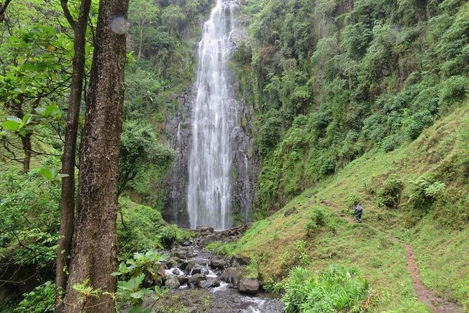 Private Materuni and Chemka Hotspring Tour - Key highlights at a glance