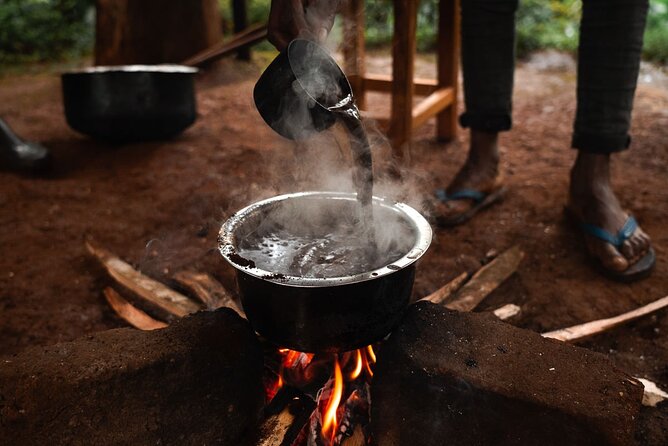 Private Materuni and Chemka Hotspring Tour - Should you book this Materuni and Chemka private tour?