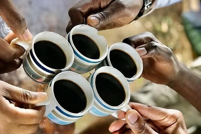 Private Materuni Waterfall & Coffee Tour. - Who this private tour suits, and who should choose something else