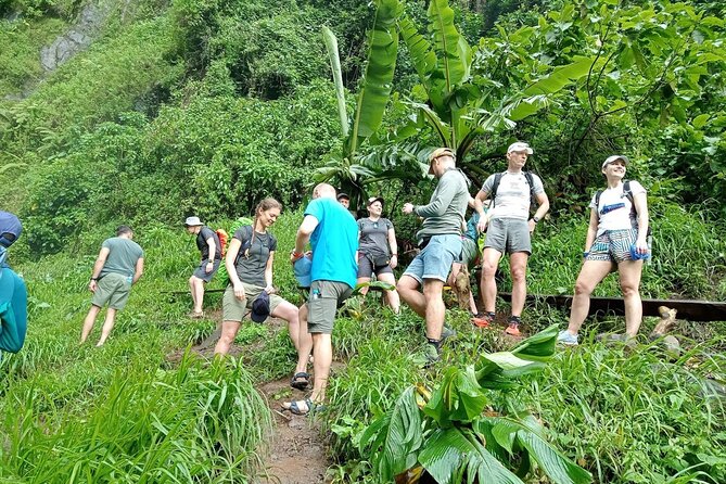 Private Materuni Waterfalls, Coffee Tour and Kikuletwa Hot Spring - Key highlights you will feel the moment you book
