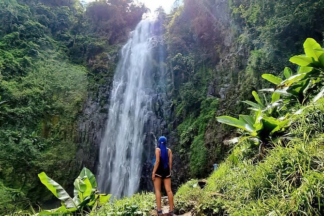 Private Materuni Waterfalls, Coffee Tour and Kikuletwa Hot Spring - Kikuletwa Hot Springs: the oasis soak with fig trees and bubbling water