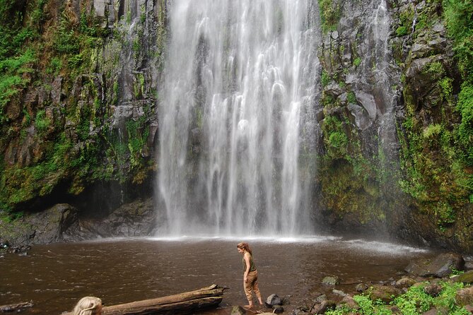 Private Materuni Waterfalls, Coffee Tour and Kikuletwa Hot Spring - The drive reality: paved roads, gravel sections, and comfort planning