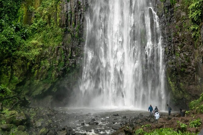 Private Materuni Waterfalls, Coffee Tour and Kikuletwa Hot Spring - Price and value: does $128.58 per person make sense?