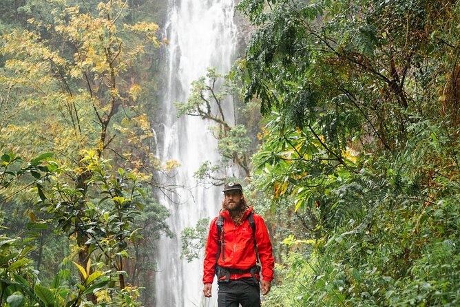 Private Materuni Waterfalls, Coffee Tour and Kikuletwa Hot Spring - The local coffee farm stop: how you go from bean to cup