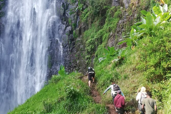 Private Materuni Waterfalls Hiking and Coffee Tour - Coffee and Chagga culture: what you might add to your hike