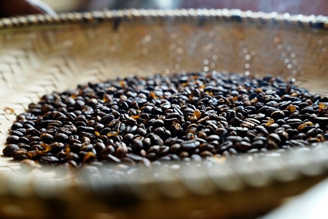 Private Meru Coffee Tour in Nkoaranga - Key highlights to look forward to